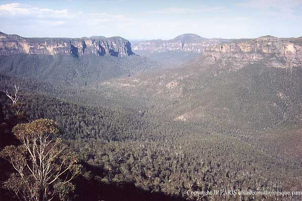 Blue Mountains