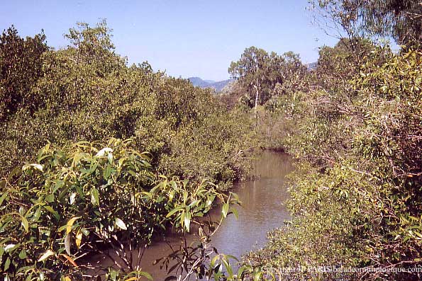 Jardin botannique de Cairns