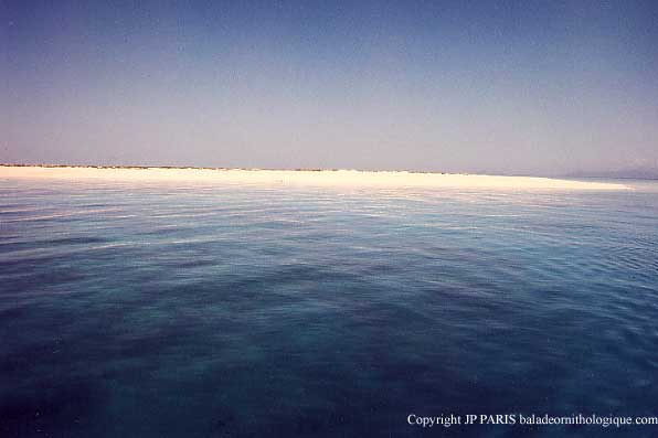 Great Barrier Reef