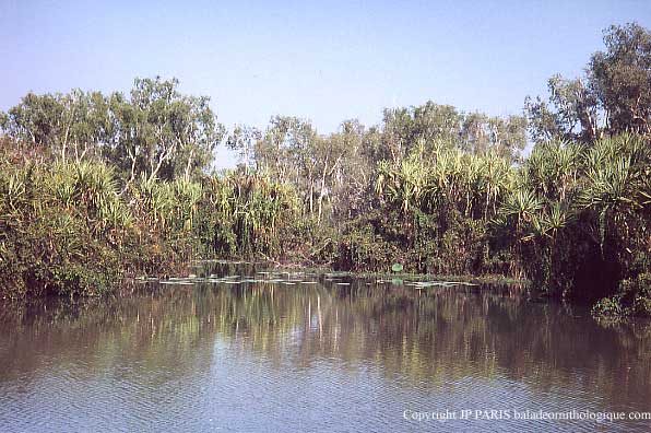 Mary River, Darwin