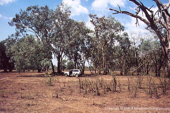 Mary River, Darwin