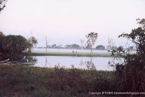 Yellow Water, Kakadu NP