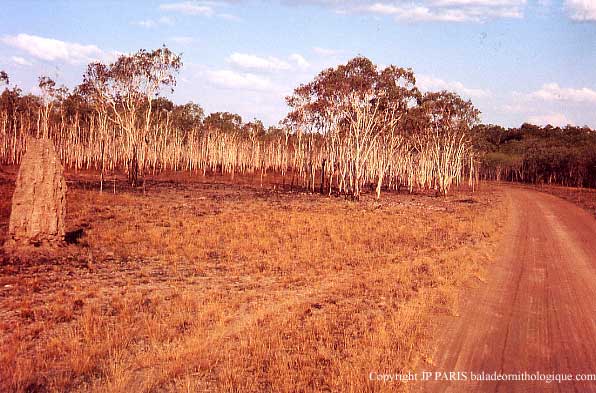 Parc National de Kakadu