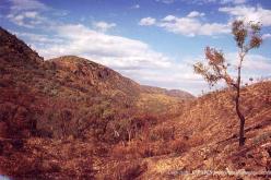 Ellery Creek Big-Hole, MacDonnell Ranges