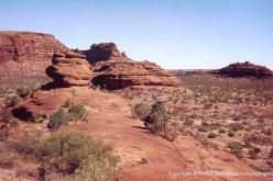 Parc National de Finke Gorge