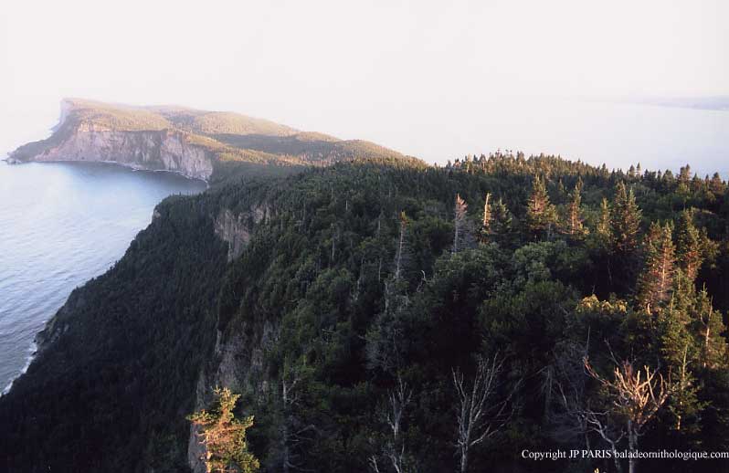 Parc National de Forillon