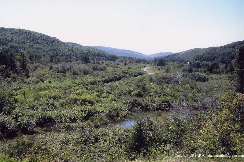 Forillon National Park