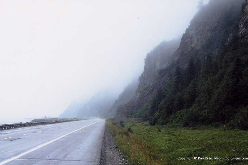 Gaspésie