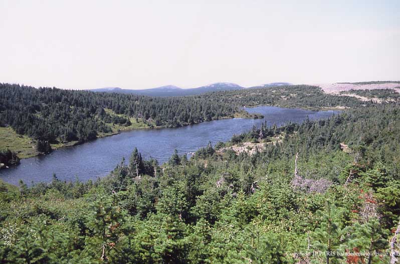 Gaspésie