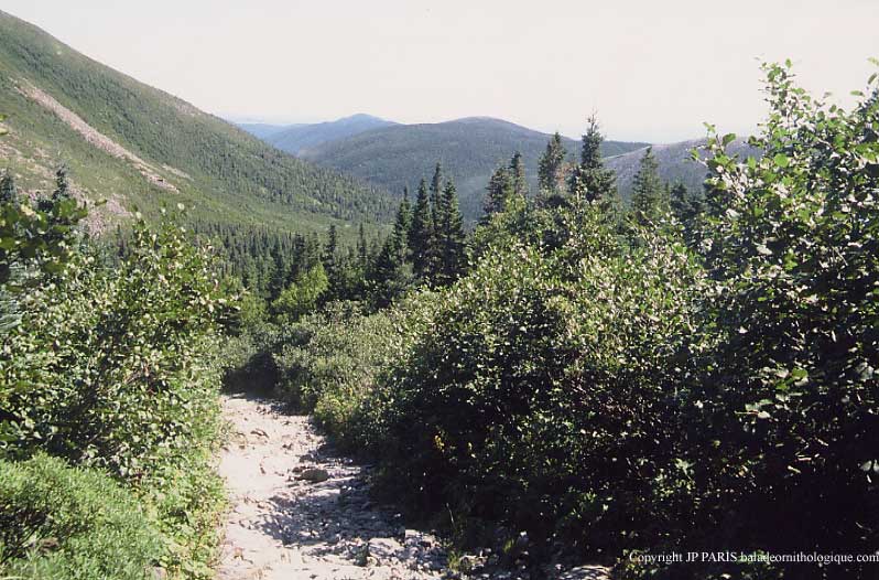 Gaspésie