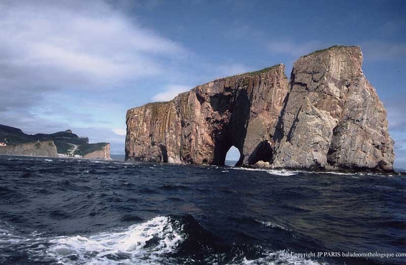 Percé