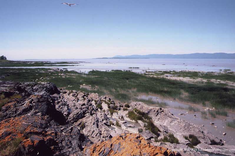 Fleuve Saint-Laurent