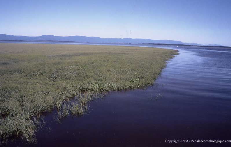 Saint-Laurent River