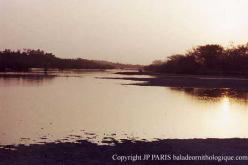 Sine Saloum