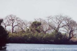 Sine Saloum