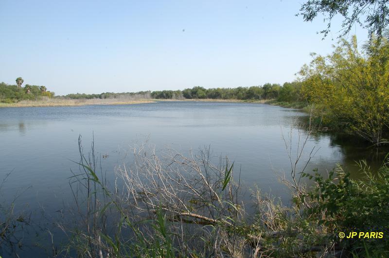 Bentsen State Park