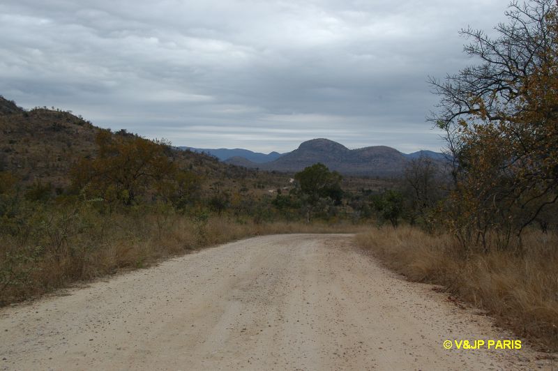 Kruger : Boucle autour de Berg-En-Dal