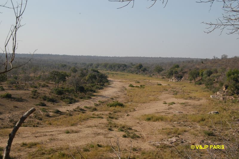 Kruger : Camp de Byamiti et les alantours