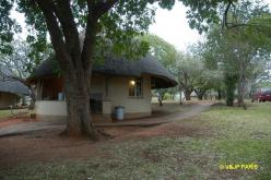 Kruger: Crocodile Bridge Rest Camp and around