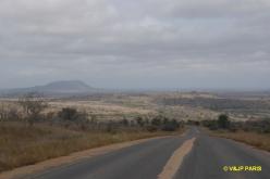 Kruger : Route de Crocodile Bridge  Satara