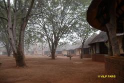 Kruger: Satara Rest Camp