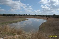 Kruger: Road from Satara to Letaba