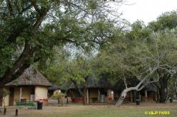 Kruger : Camp de Skukuza