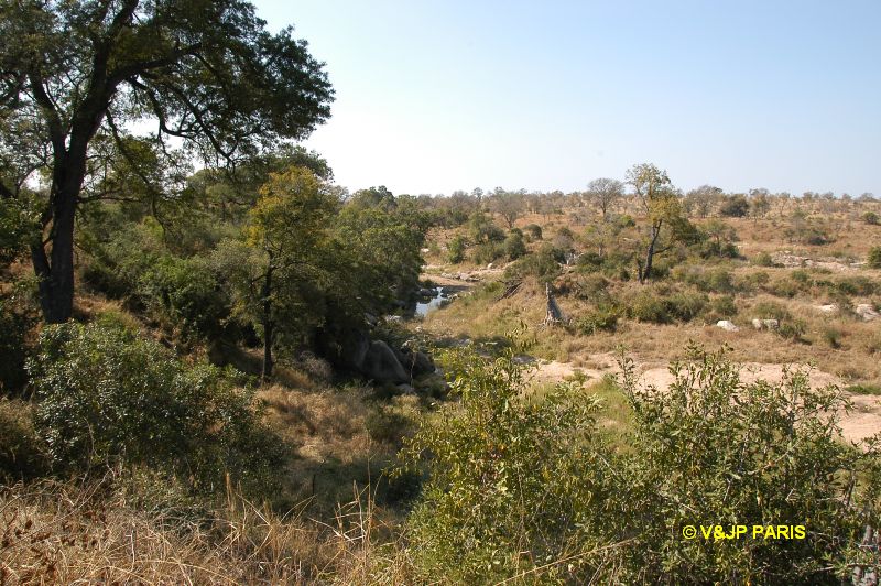 Kruger : Camp du Napi Trails et randones aux alantours