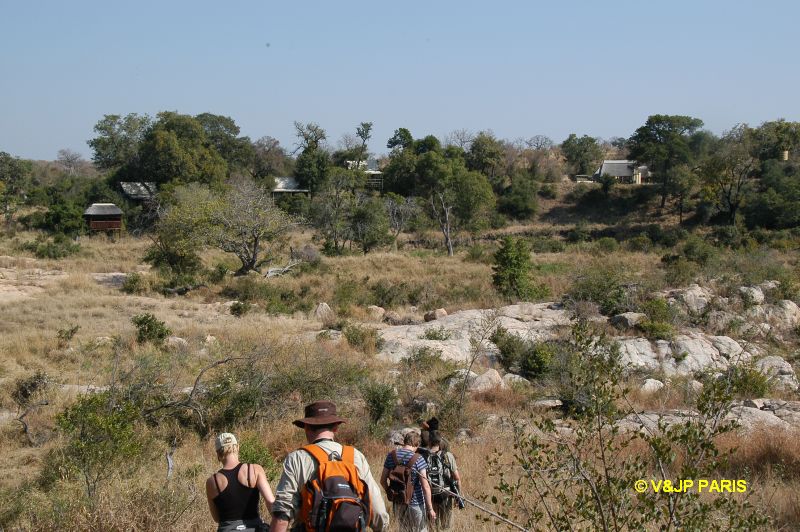 Kruger : Camp du Napi Trails et randones aux alantours