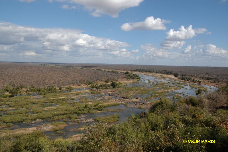 Kruger: Olifants River