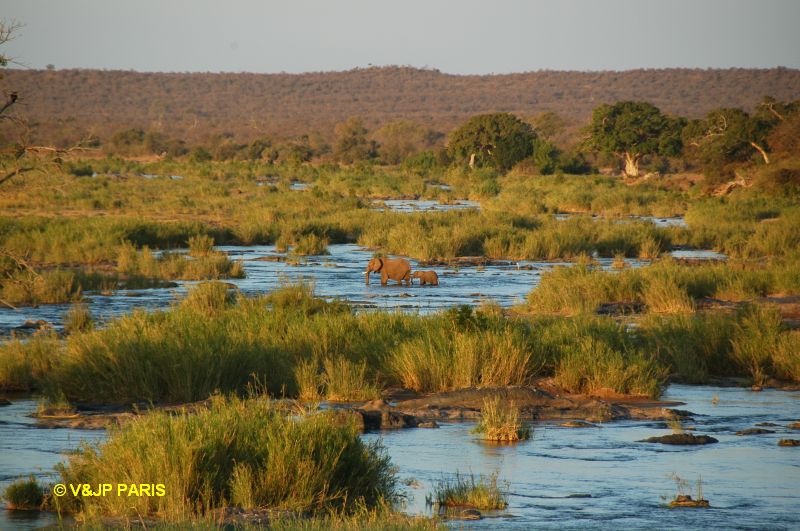 Kruger : Olifants River