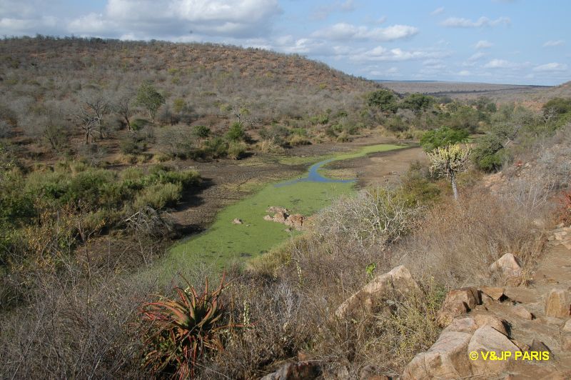 Kruger : Orpen Dam