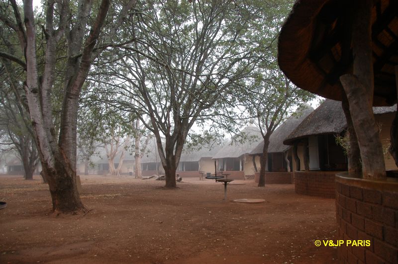 Kruger : Satara Rest Camp