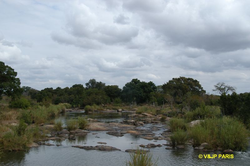 Kruger : Route de Skukuza  Malelane