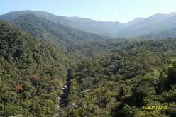 Pac National d'Itatiaia