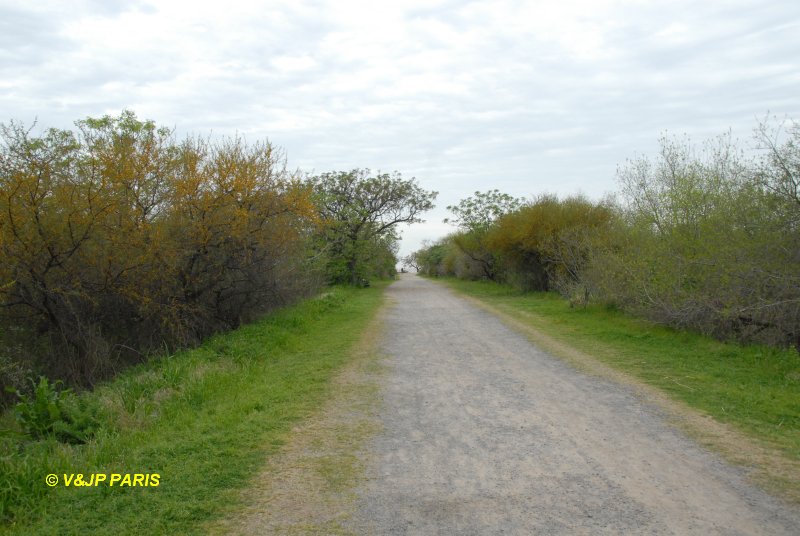 Costanera Sur Ecological Reverva