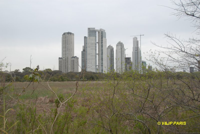 Costanera Sur Ecological Reverva