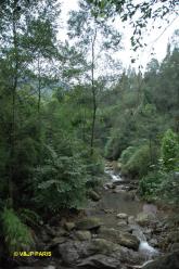 Emei, Sichuan