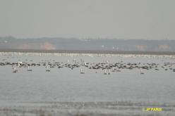 Poyang Lake, Jiangxi