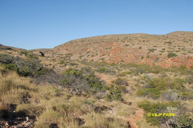 Mandu Gorge - Cape Range NP