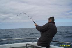 Fishing near Albany