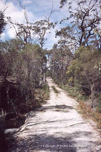Barren Grounds Birds Observatory