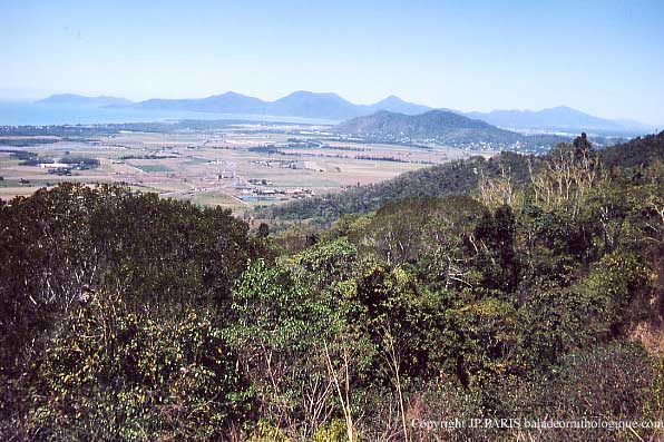 Cairns