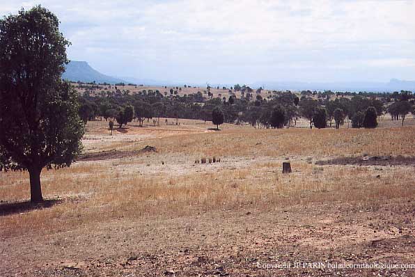 Capertee Valley