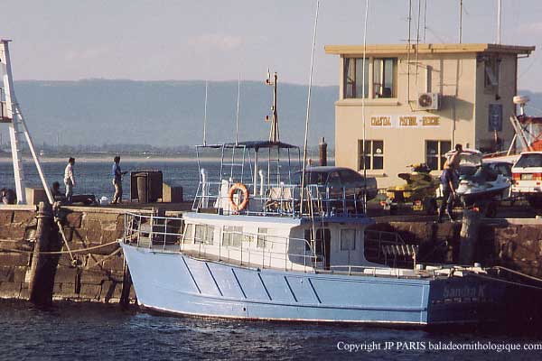 Sortie pélagique 