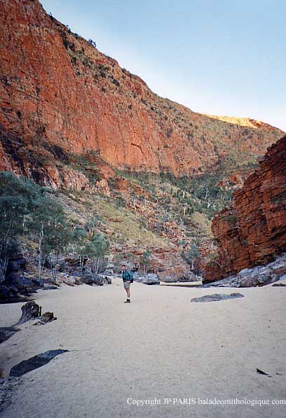 Ormiston Gorge, MacDonnell Ranges