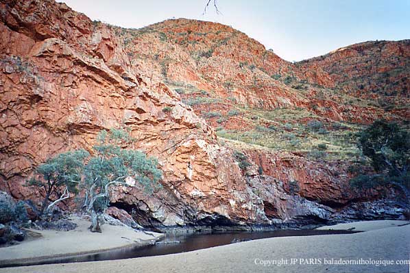 Ormiston Gorge, MacDonnell Ranges