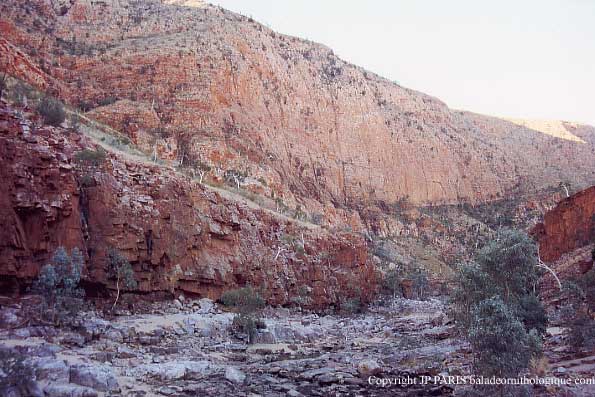 Ormiston Gorge, MacDonnell Ranges