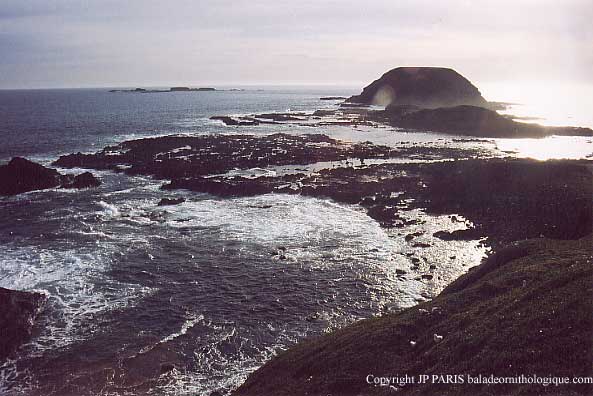 Philip Island, Melbourne