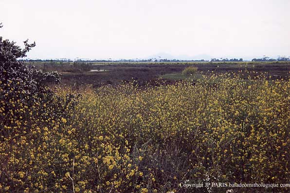 Western Treatment Plant, Melbourne